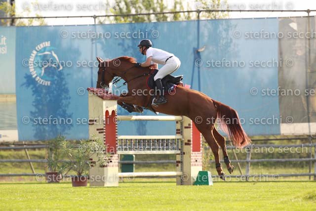 TAZZI_AMBRA_GIO CAV 2011_SS3_7686.jpg